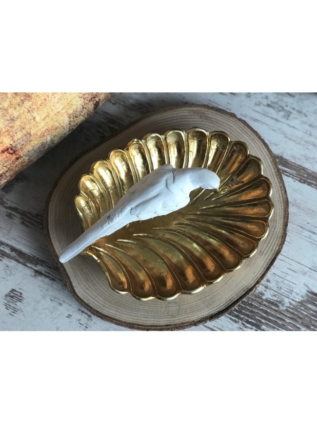 Vaciabolsillo Bandeja Loro